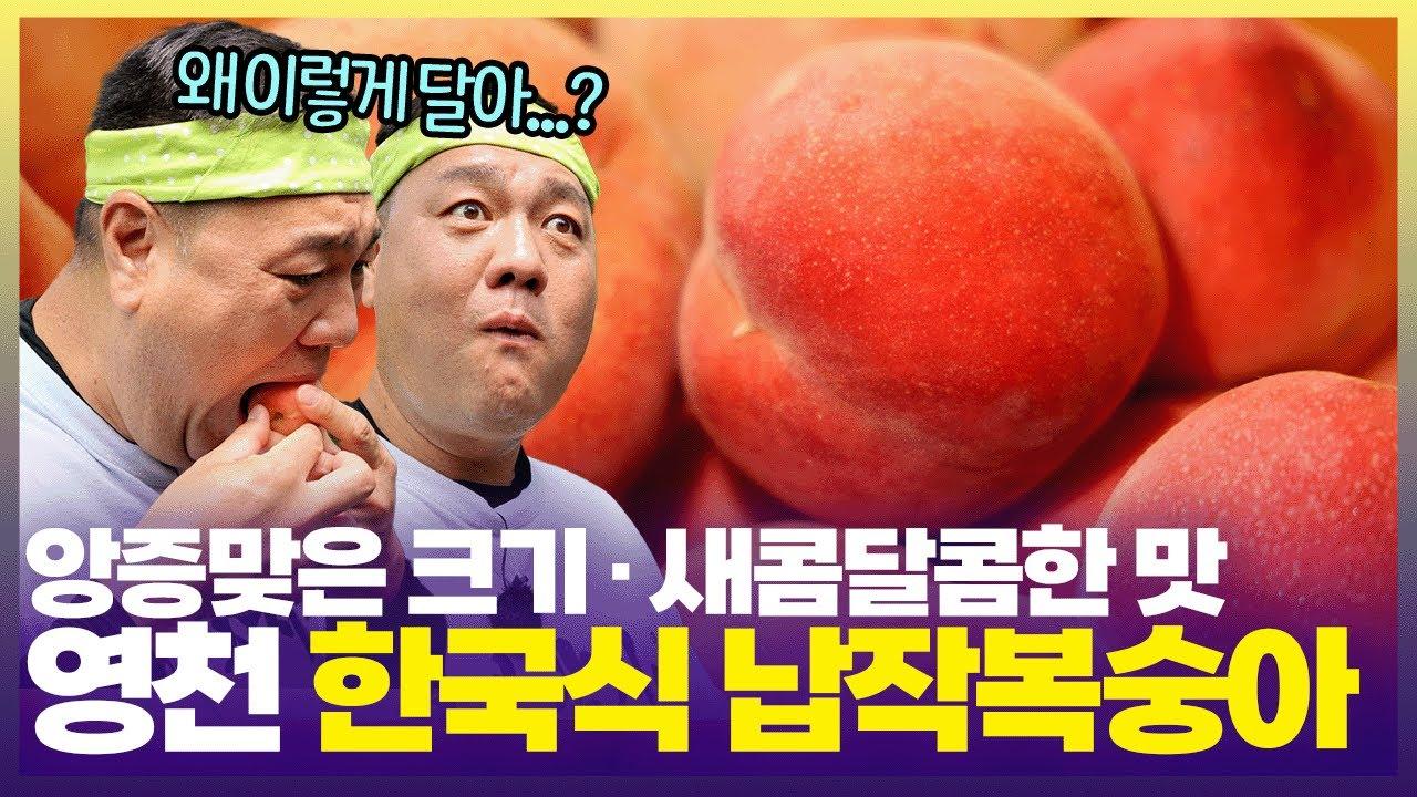 한손에 딱 쥐고 먹기 좋은 영천 복숭아 🍑 지금이 제철! [6시 내고향]