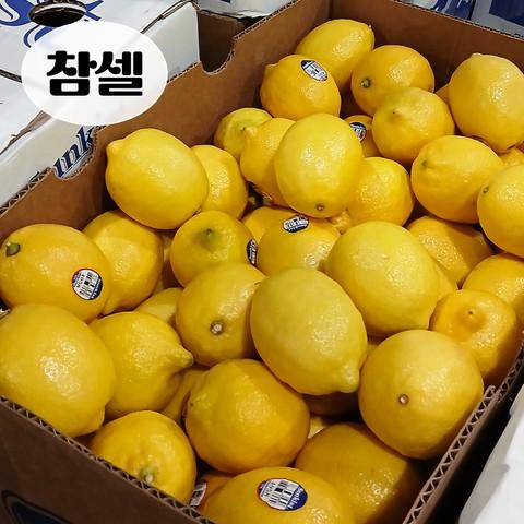 썬키스트 팬시 레몬 벌크