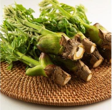 참두릅 500g, 1개