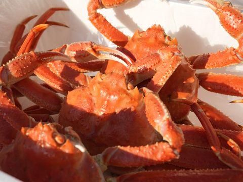 북해도 대게 1.5kg, 1개