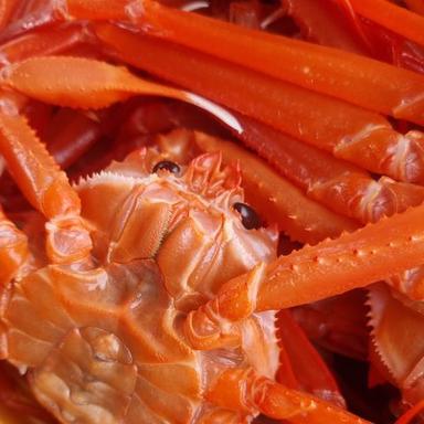 자숙홍게 6kg, 1개