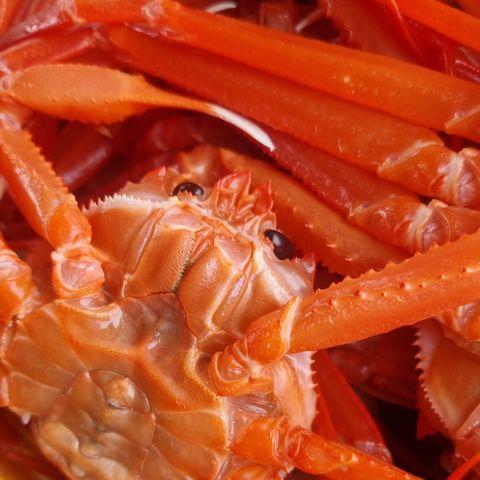 자숙홍게 6kg, 1개