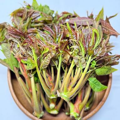 가죽나물 500g, 1개