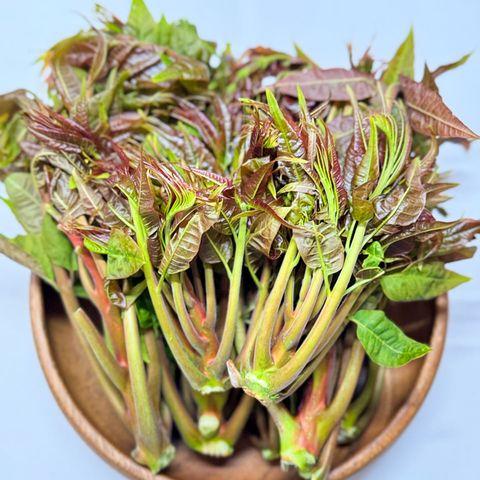 가죽나물 500g, 1개