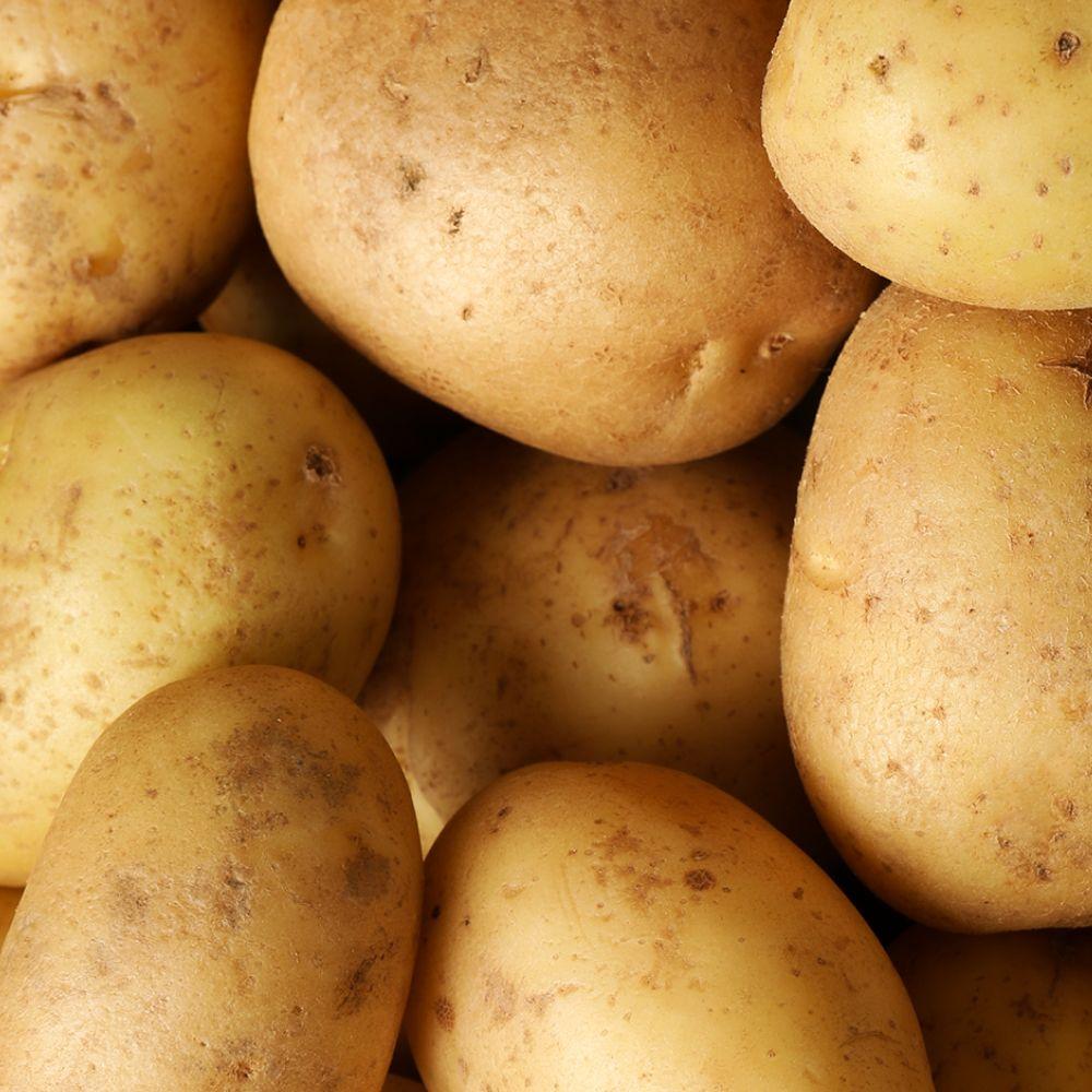 햇 두백 감자 3kg (중소)