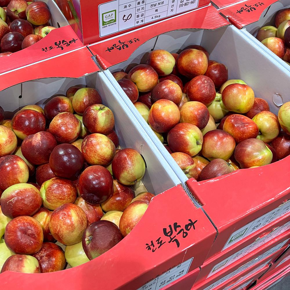 천도 5kg (중과 40~50개)