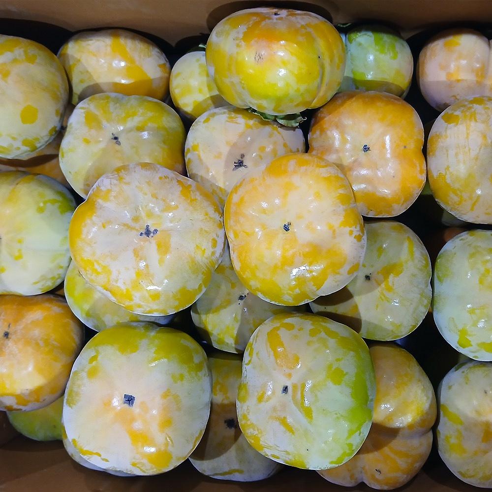 단감 5kg 차량 (소과 31~35과)