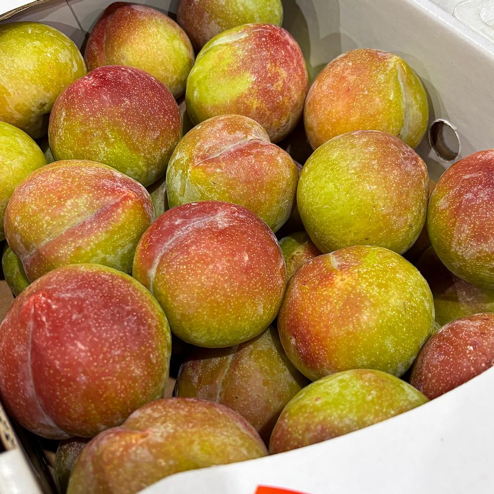 추희자두 2kg (왕특)