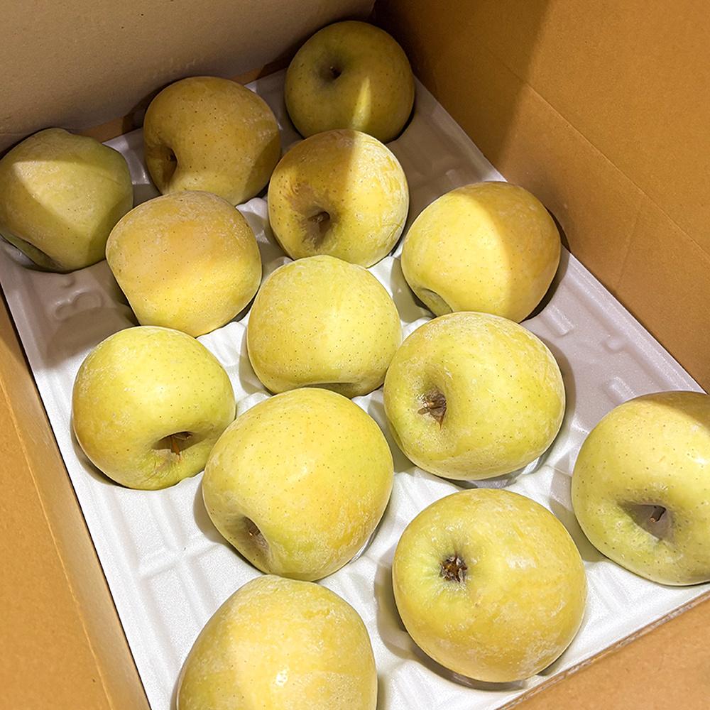 시나노골드 5kg (11~15과)