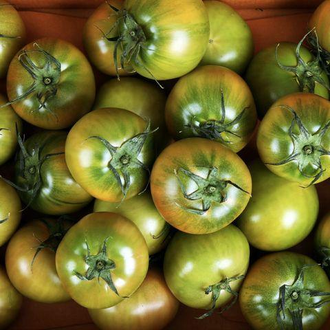 대저토마토 2.5kg (2S)